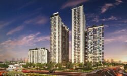 du an can ho The Western Capital q.6