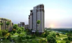 du an can ho diamond lotus green q.10