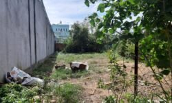 đất thổ cư đường Vĩnh Phú 17A Thuận An Bình Dương