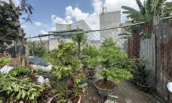 Diện tích 79m2, 5x16m, phù hợp xây dựng nhà ở, kinh doanh.